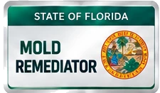 State of Florida Mold Remediator license